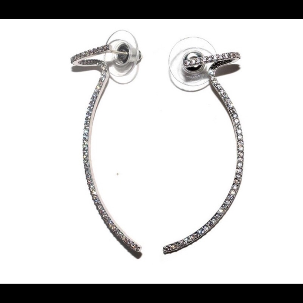 Needle shine earring
